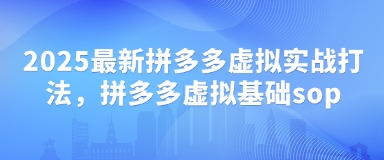 2025最新拼多多虚拟实战打法,拼多多虚拟基础sop-第一资源库