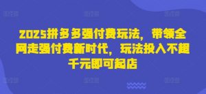 2025拼多多强付费玩法，带领全网走强付费新时代，玩法投入不超千元即可起店-第一资源库
