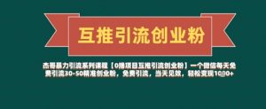 【0撸项目互推引流创业粉】一个微信每天免费引流30-50精准创业粉，免费引流，当天见效，轻松变现几张-第一资源库