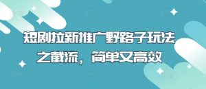 短剧拉新推广野路子玩法之截流,简单又高效-第一资源库