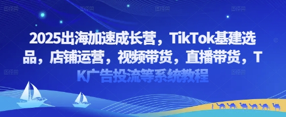 2025出海加速成长营,TikTok基建选品,店铺运营,视频带货,直播带货,TK广告投流等系统教程-第一资源库