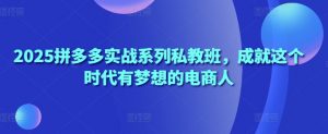 2025拼多多实战系列私教班,成就这个时代有梦想的电商人-第一资源库
