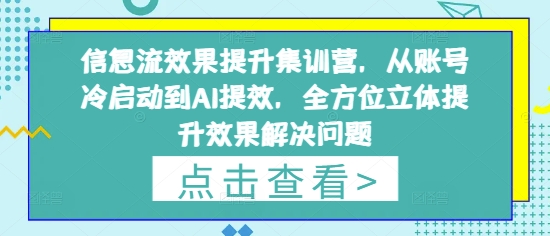信息流效果提升集训营,从账号冷启动到AI提效,全方位立体提升效果解决问题-第一资源库