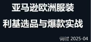 跨境电商选品案例24-25年,聚焦跨境电商选品策略与运营优化,助力卖家挖掘蓝海市场-第一资源库
