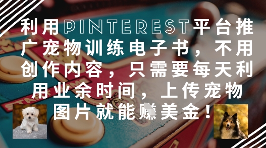 利用Pinterest平台推广宠物训练电子书,不用创作内容,只需要每天利用业余时间,上传宠物图片就能挣美金!-第一资源库