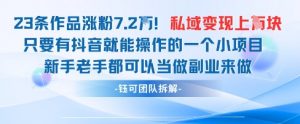 抖音私域项目23条作品涨粉7.2W,私域变现1W-第一资源库