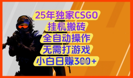 25年独家CSGO挂G搬砖,全自动操作,无需打游戏,小白日入3张+【揭秘】-第一资源库
