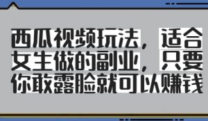 西瓜视频玩法,适合女生做的副业,只要你敢露脸就有收益-第一资源库