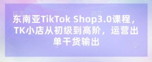 东南亚TikTok Shop3.0课程,TK小店从初级到高阶,运营出单干货输出-第一资源库