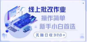 线上批改作业,操作简单新手小白首选,无脑日收300+【揭秘】-第一资源库