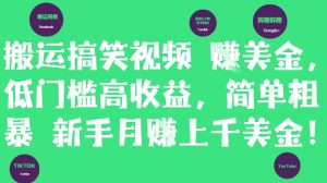 搬运搞笑视频挣美金,低门槛高收益,简单粗暴新手月入上千美刀-第一资源库