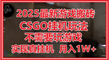 2025最新游戏搬砖,CSGO挂G,不需要玩游戏,实现真挂G,月入1W+【揭秘】-第一资源库