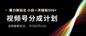视频号分成计划,全网最暴力玩法,新手一天也能轻松5张+-第一资源库