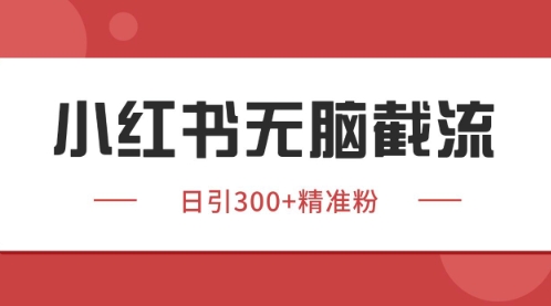小红书只要你有同行就能获客,独家野路子获客玩法,暴力截流【揭秘】-第一资源库