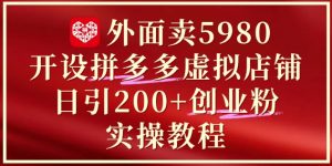 外面卖5980开设拼多多虚拟店铺:单日引流200+创业付费粉实战教程-第一资源库
