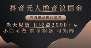 抖音无人撸音浪掘金,五月最新风口项目,当天见效,日收益多张,小白可做简单粗暴可矩阵【揭秘】-第一资源库