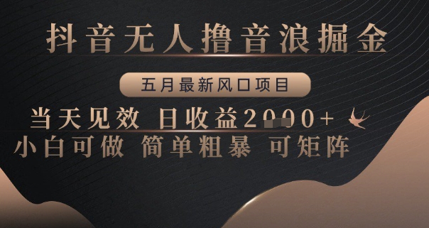 抖音无人撸音浪掘金,五月最新风口项目,当天见效,日收益多张,小白可做简单粗暴可矩阵【揭秘】-第一资源库