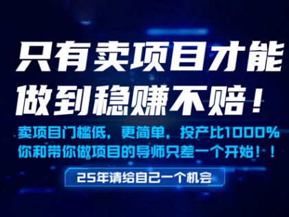 只有卖项目才能做到稳挣不赔,门槛低,更简单,你也可以年入百个W【揭秘】-第一资源库