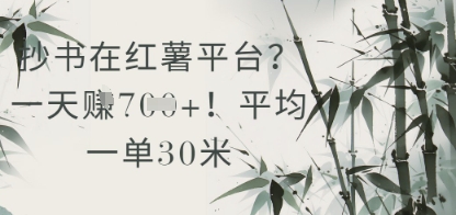 抄书在小红薯平台？平均一单30米，一天收益几张！-第一资源库