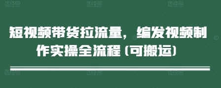 短视频带货拉流量,编发视频制作实操全流程(可搬运)-第一资源库
