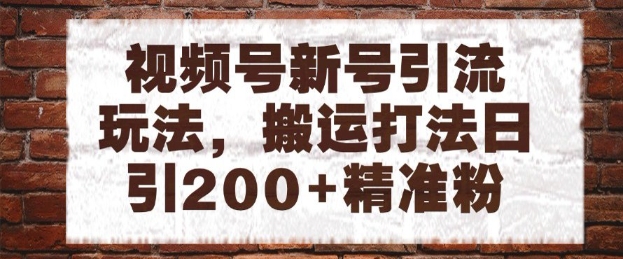 视频号新号引流玩法,搬运打法日引200+精准粉,可矩阵放大【揭秘】-第一资源库