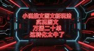 小说推文图文新玩法,实况图文,万播二十单,这转化太牛了!-第一资源库