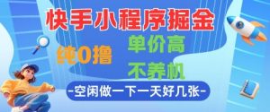 快手小程序掘金,纯0撸,单价高不养机 利用空闲时间做一做,一天好几张【揭秘】-第一资源库