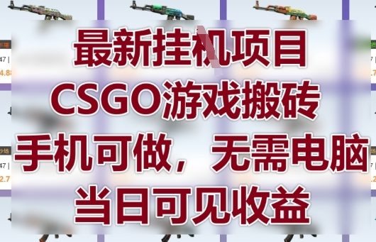 最新挂G项目,CSGO游戏搬砖,手机可做,无需电脑,当日见收益【揭秘】-第一资源库
