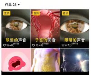 抖音坚果3D动画科普项目,撸视频号分成和抖音伙伴计划,适合零基础小白-第一资源库