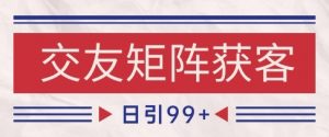 小红书某音交友赛道引流获客 自热矩阵日引200+【揭秘】-第一资源库