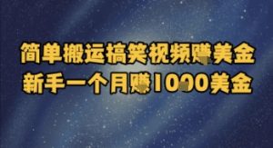 简单搬运搞笑视频挣美金,新手一个月入1k美金-第一资源库