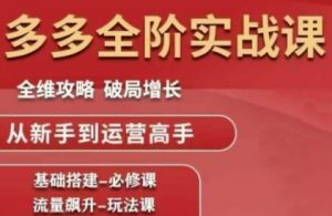拼多多全阶实战课程,全维攻略,破局增长,从新手到运营高手-第一资源库
