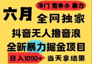 25年6月高爆抖音无人直播最新撸音浪掘金项目,小白可做,无脑日入1k+,门槛低可批量矩阵【揭秘】-第一资源库