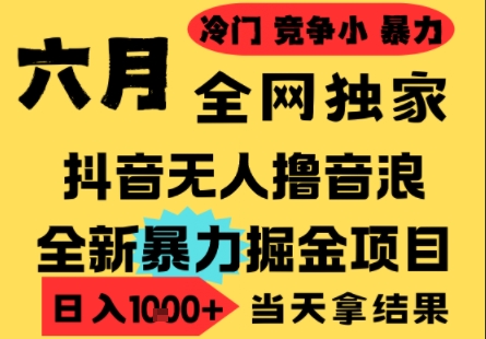 25年6月高爆抖音无人直播最新撸音浪掘金项目,小白可做,无脑日入1k+,门槛低可批量矩阵【揭秘】-第一资源库