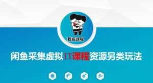 闲鱼采集虚拟IT课程资源另类玩法，干货满满-第一资源库