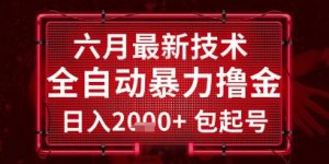 六月最新技术全自动暴力撸金,稳定日入2k+包起号,长期稳定【揭秘】-第一资源库