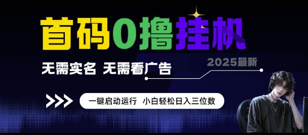 首码0撸挂G项目,无需实名无需看广告 一键启动运行,小白轻松日入三位数【揭秘】-第一资源库