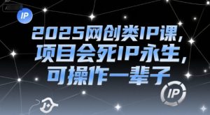 2025网创类IP课,项目会死IP永生,可操作一辈子-第一资源库