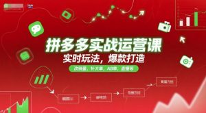 拼多多实战运营课,实时玩法,爆款打造,改销量,补大单,AB单,直播等(更新2025月)-第一资源库