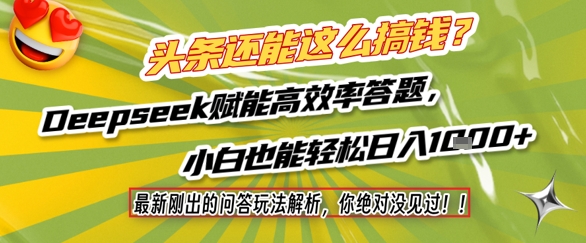头条还能这么搞钱?最新刚出的问答玩法解析,你绝对没见过!Deepseek赋能高效率答题,小白也能轻松日入1k+-第一资源库