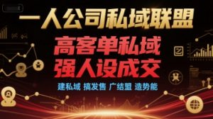 一人公司私域联盟,高客单私域,强人设成交,建私域 搞发售 广结盟 造势能-第一资源库
