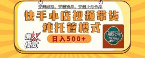 快手小店托管代运营,无需剪辑,无需选品,无需上传作品,全程无需操作,轻松月入5k+【揭秘】-第一资源库