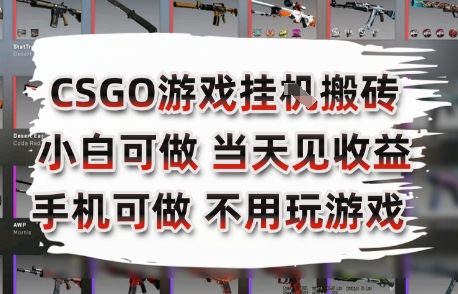 CSGO游戏挂G搬砖,小白纯手机即可操作,不用电脑打游戏,日入3张+,副业网创项目【揭秘】-第一资源库
