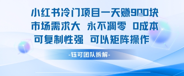 小红书冷门项目一天收益9张,市场需求大,0成本,可复制性强可以矩阵操作-第一资源库
