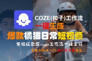 COZE(扣子)工作流一键生成爆款橘猫日常短视频,保姆级教程,零基础快速入门-第一资源库