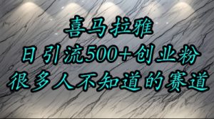 喜马拉雅,小而精的流量赛道,日进500+精准创业粉-第一资源库