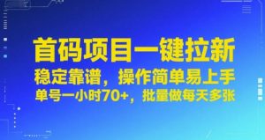 首码项目一键拉新,稳定靠谱,操作简单易上手,单号一小时70+,批量做每天多张【揭秘】-第一资源库