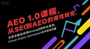 AEO 1.0 课程,从SEO到AE0的基命性转变,手把手教会你用AnswerEngineOptimization技术抢回流量-第一资源库