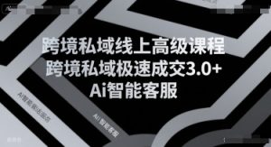 跨境私域线上高级课程,跨境私域极速成交3.0+Ai智能客服-第一资源库