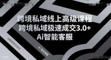 跨境私域线上高级课程,跨境私域极速成交3.0+Ai智能客服-第一资源库